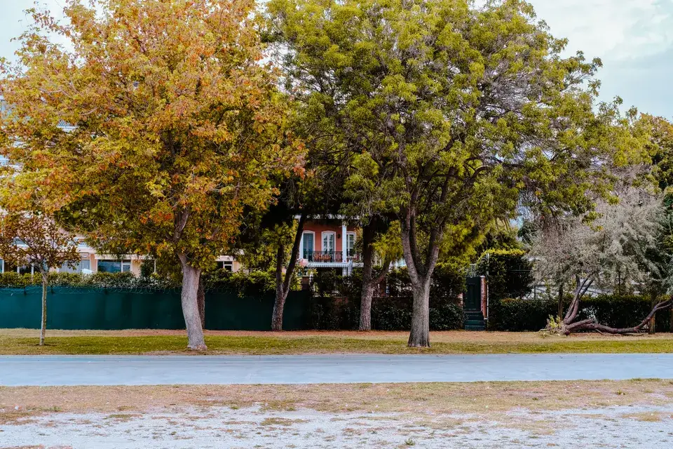 water damage restoration La Palma